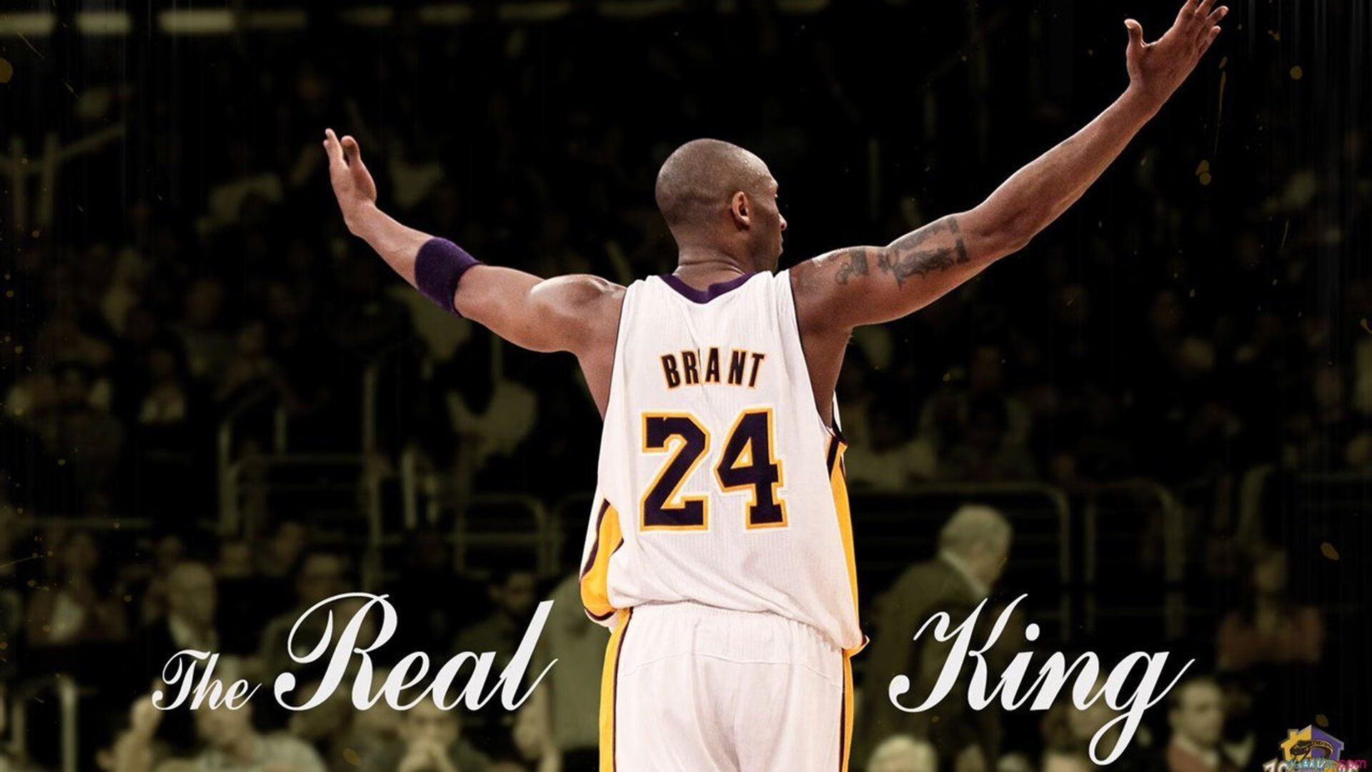 足球场馆管理数字化，运营更智能高效，足球场馆建设